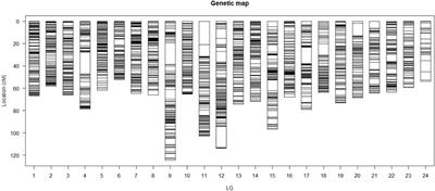 Construction of Genetic Linkage Maps From a Hybrid Family of Large Yellow Croaker (Larimichthys crocea)